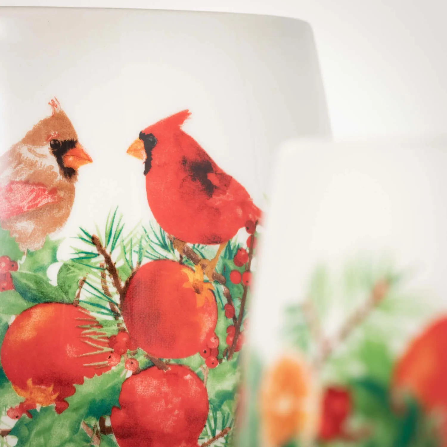 Cardinal Container Set Of 2