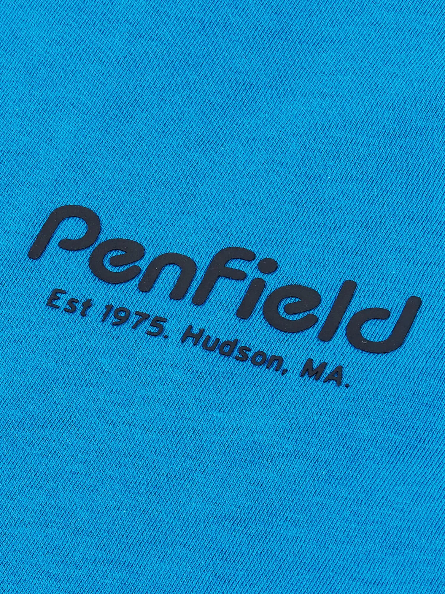 Hudson Script T-Shirt in Vallarta Blue