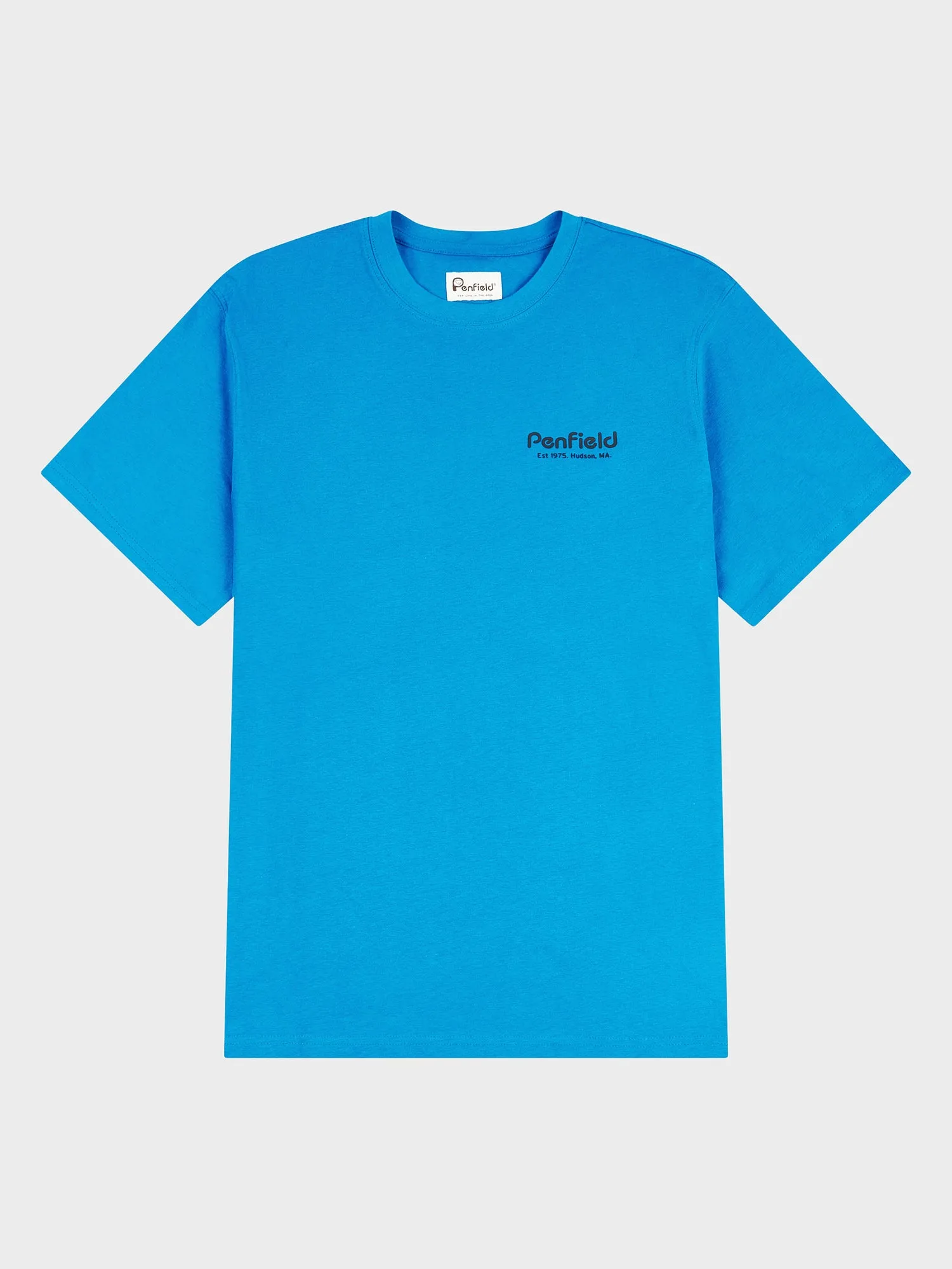 Hudson Script T-Shirt in Vallarta Blue